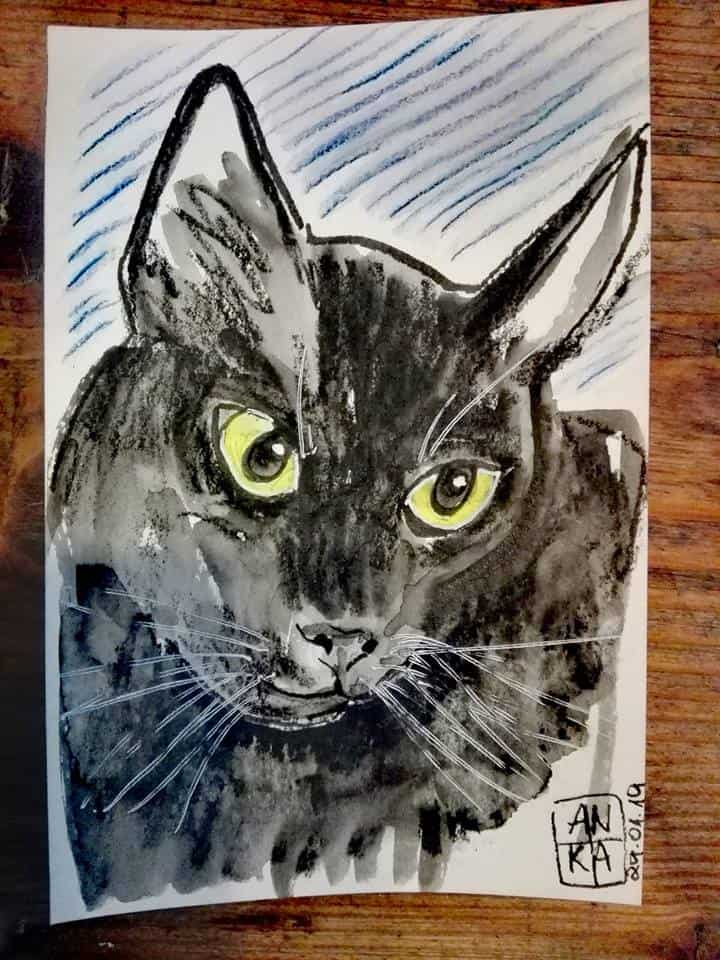 Jill Ackiron pet sketch