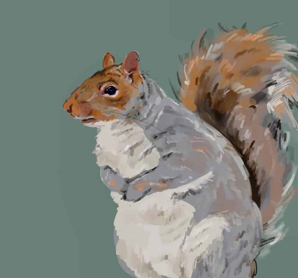 Georgina Cahill sketch work