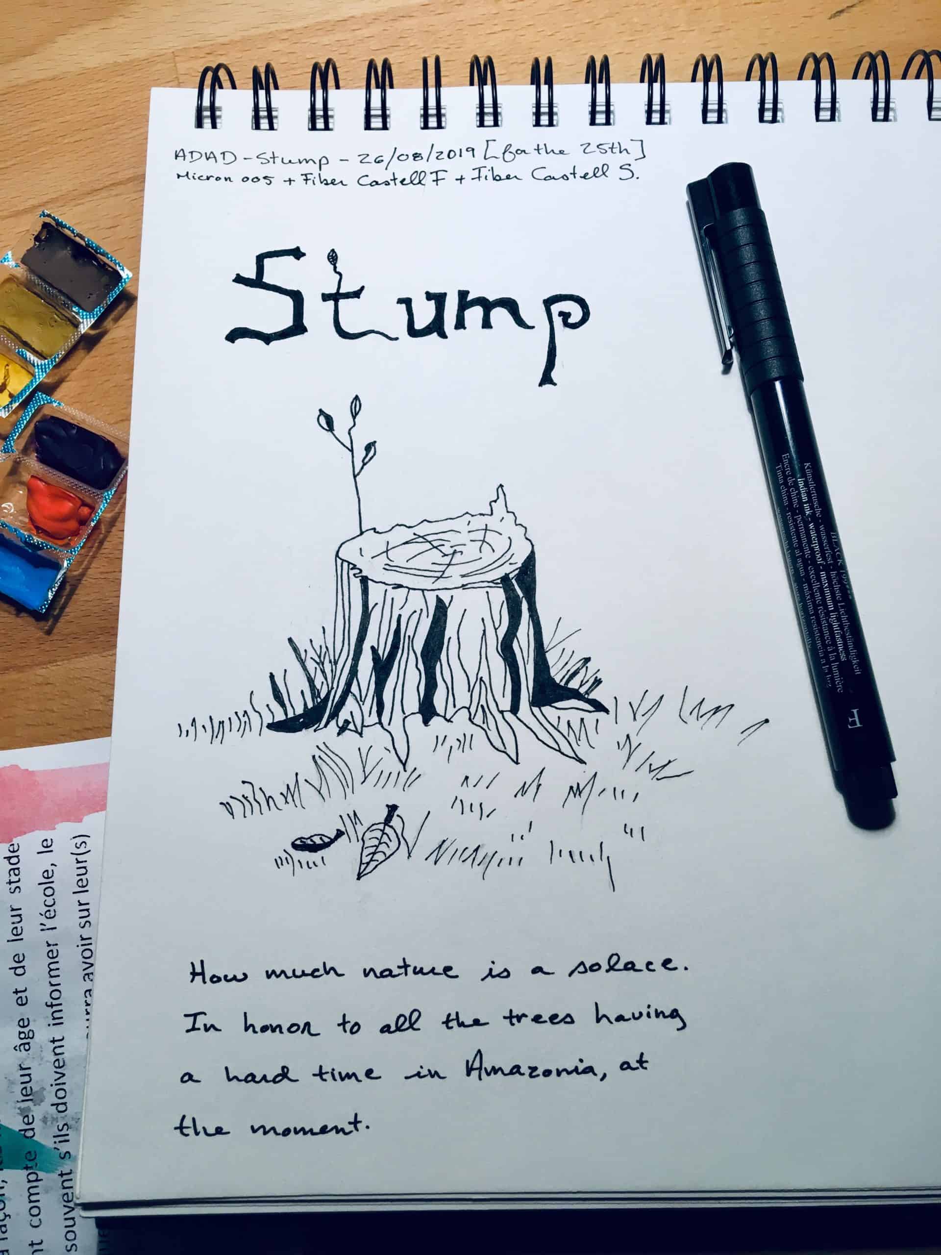 Melanie Mercuri drawing book