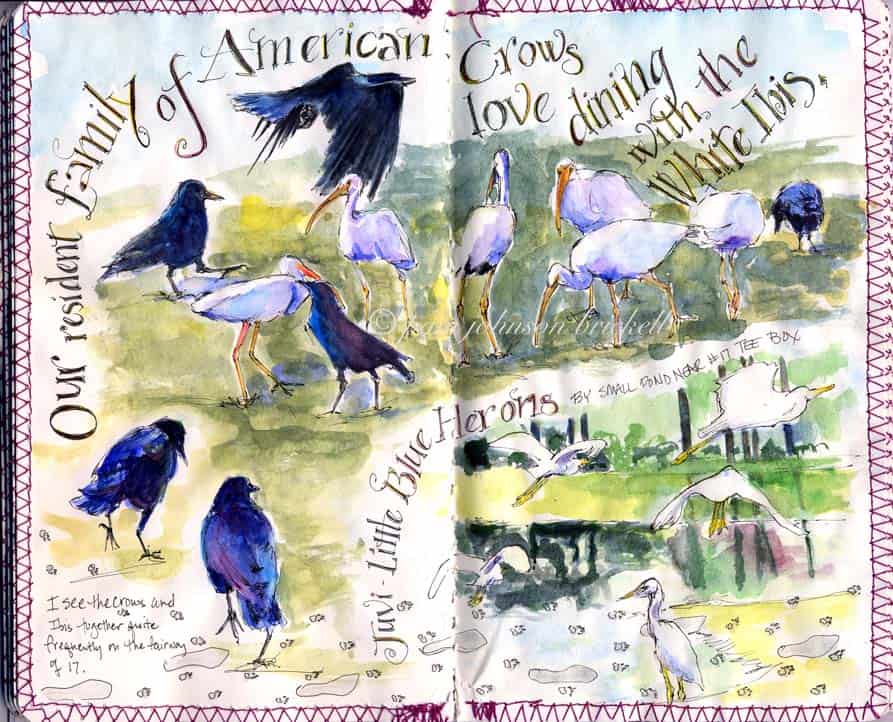 draw a bird day sketch