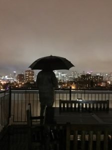 Twingley's Accidents