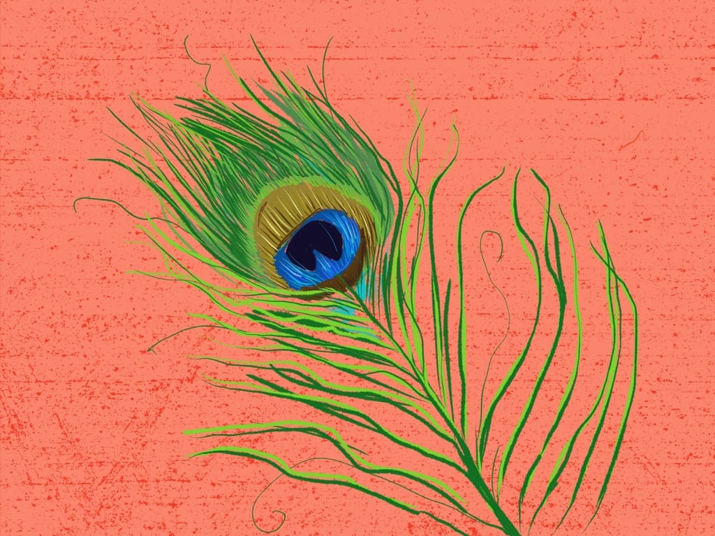 how to judge your own artwork sketch