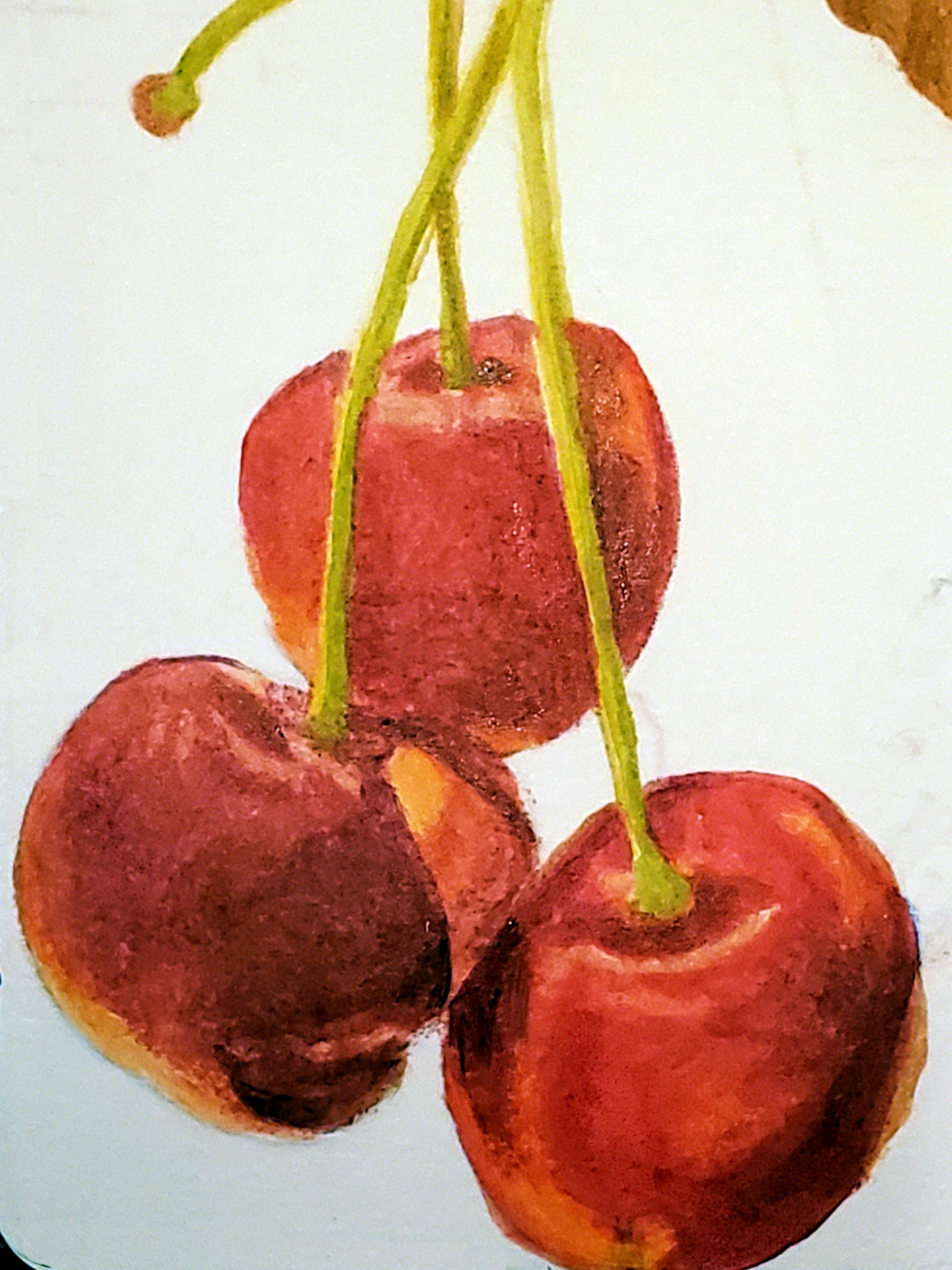 color theory in practice 