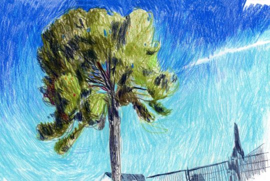 SBS.Colored.Pencils.Hover_-scaled